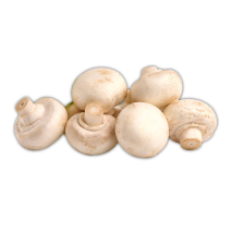 Champignons