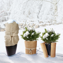 XL-Jute- oder Kokos-Winter-Pflanzenschutz