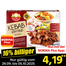 Gyros Pfanne / Kebab