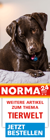 https://www.norma24.de/de/c/tierwelt-3651?utm_source=norma-online&utm_medium=aktion_KW40&utm_campaign=banner_tierwelt_KW40
