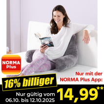 Produktbild »Bettsitzkissen«