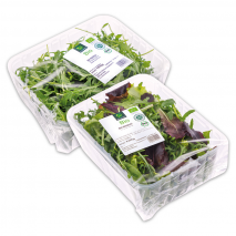 Produktbild »Bio-Salat«