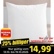 3-Kammer-Kopfkissen