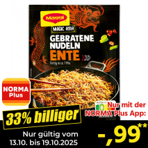 Magic Asia Gebratene Nudeln