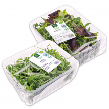 Produktbild »Bio-Salate sortiert«