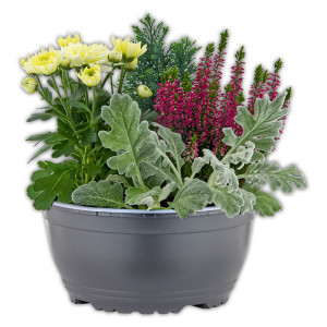 Produktbild »Herbstschale«