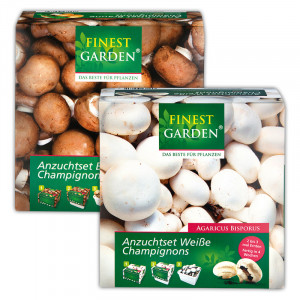 Champignon-Anzuchtset Produktbild »Champignon-Anzuchtset«