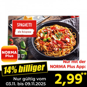 Produktbild »Spaghetti Bolognese / Lasagnette«