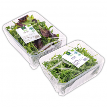 Produktbild »Bio-Salate sortiert«