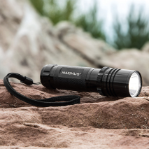 Taschenlampe Profiline