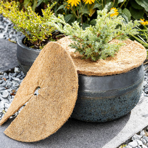 Produktbild »Kokos-Scheiben-Set 3tlg.«