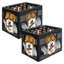 2 Kästen Premium Pils