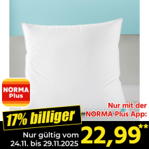 Produktbild »3-Kammer-Kopfkissen«