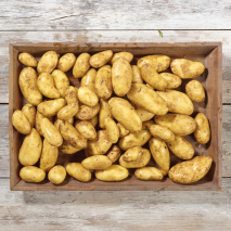 Pfälzer Speisekartoffeln