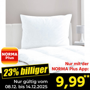 Produktbild »Kopfkissen«