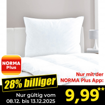 Produktbild »Kopfkissen«