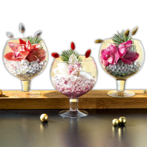 Produktbild »Cymbidium-Arrangement«