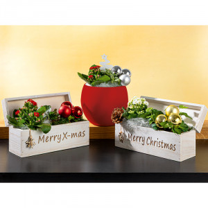 Produktbild »Weihnachtliches Arrangement«