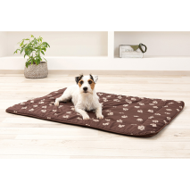 Hygiene-Tierliegekissen