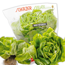 Bayerischer Kopfsalat mit Wurzelballen