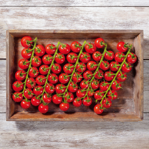 Rheinländer Cocktailrispentomaten