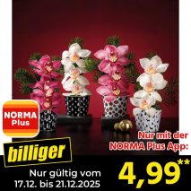 Orchideengesteck