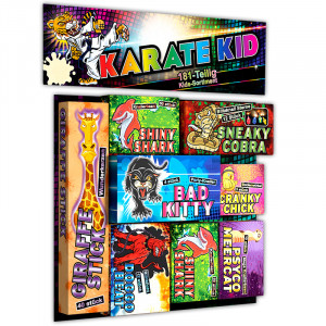 Produktbild »Karate Kid«