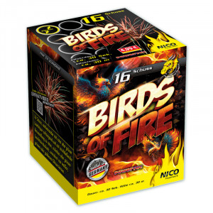 Produktbild »Birds of Fire«