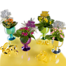 Blühender Neujahrsgruß