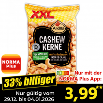 Cashew Kerne XXL