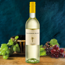 Produktbild »2024 Weinkellerei Fuchs Sauvignon Blanc«