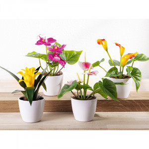 Produktbild »Mini-Deko-Blume«