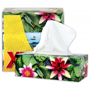 Produktbild »Taschentücher Triobox XXL«