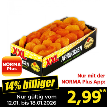 Aprikosen XXL