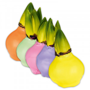 Produktbild »Hyazinthe in Wachs«