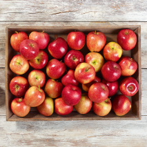 Äpfel aus Baden-Württemberg