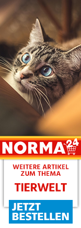 https://www.norma24.de/de/c/tierwelt-3651?utm_source=norma-online&utm_medium=aktion_KW04&utm_campaign=banner_tierwelt_KW04