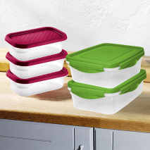 Gefrier- und Frischhaltedose