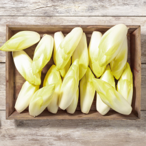 Chicorée aus Baden-Württemberg