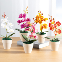 Deko-Orchidee