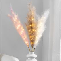 LED-Pampas-Gras