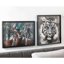 Produktbild »XL-3D-Effektbild«