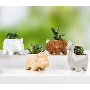 Produktbild »Dschungel Keramik«