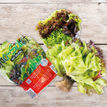 Bayerische Trio-Salate mit Wurzel