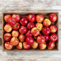 Äpfel aus Baden-Württemberg
