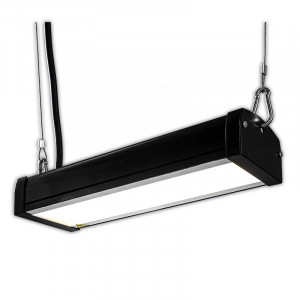 Produktbild »High Power LED-Hallenstrahler 50 Watt«