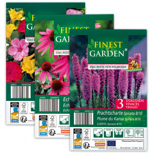 Produktbild »Blumenzwiebeln winterharte Stauden«