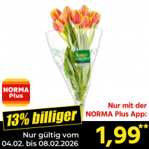 Nur mit der NORMA Plus App günstiger: »Tulpen«