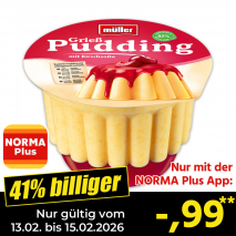Pudding mit Soße