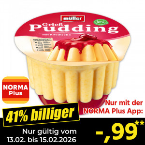 Produktbild »Pudding mit Soße«